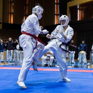 IMG_4667